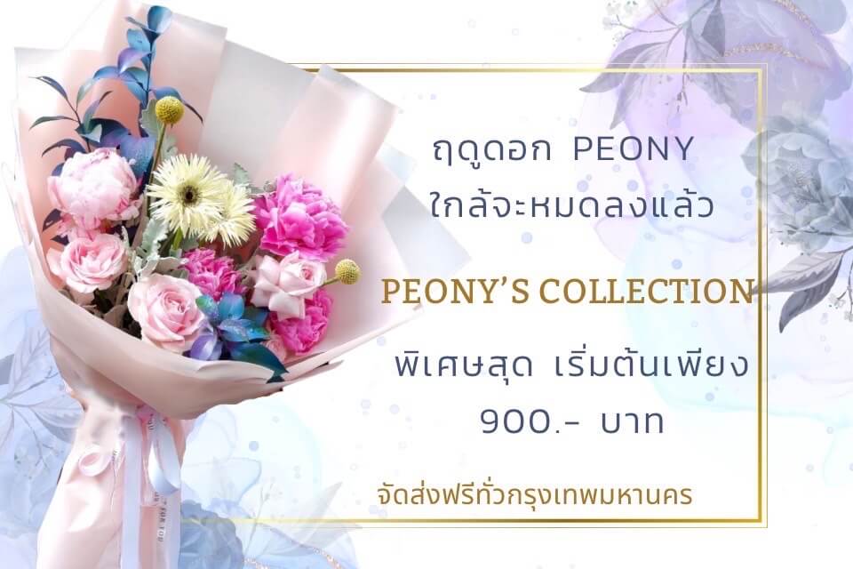 peony collection